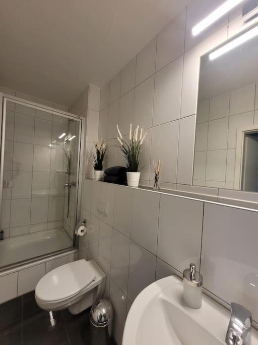 Mit Blick In Den Emsseepark Warendorf Eksteriør billede