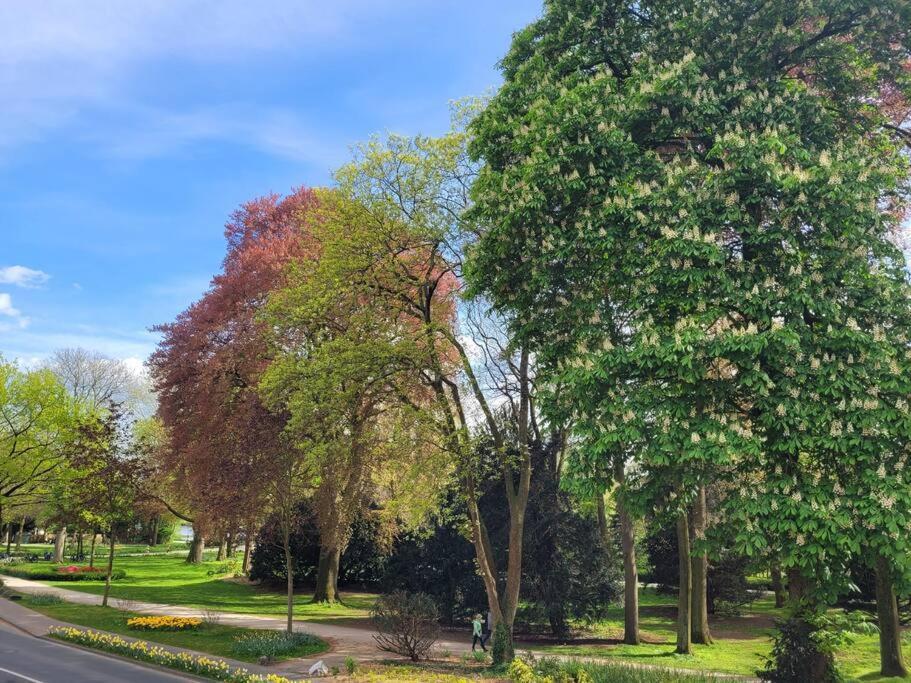 Mit Blick In Den Emsseepark Warendorf Eksteriør billede