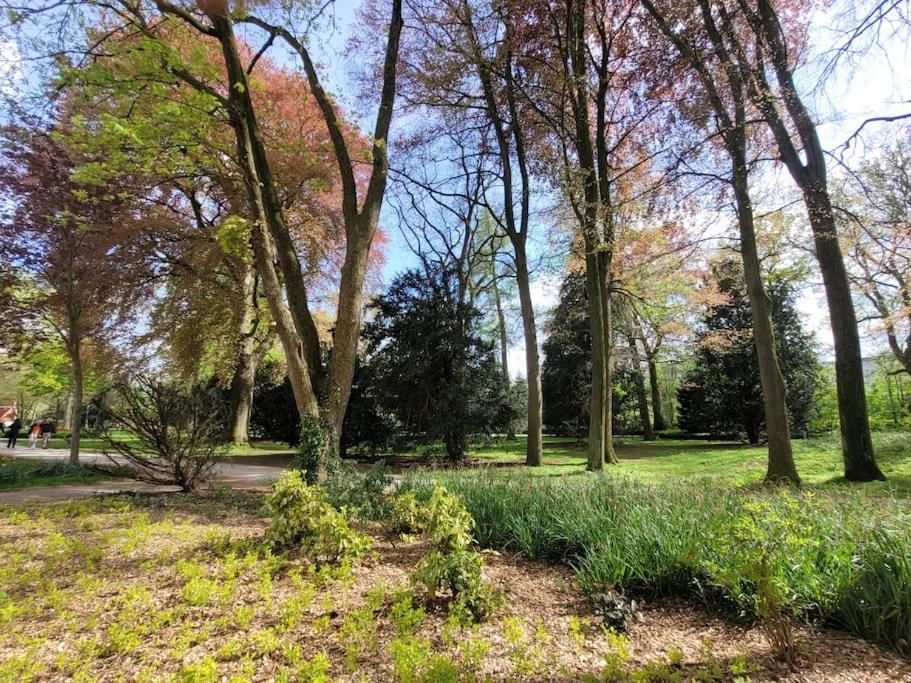 Mit Blick In Den Emsseepark Warendorf Eksteriør billede